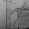 in the fog