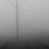 in the fog