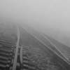 in the fog